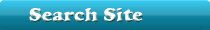 seo site search
